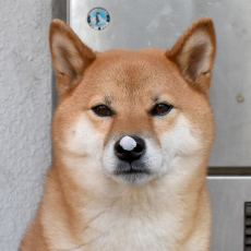 顔面偏差値,有名人,芸能人,イケメン,美人