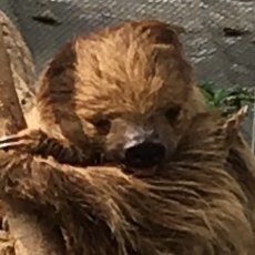 顔面偏差値,有名人,芸能人,イケメン,美人