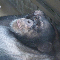 顔面偏差値,有名人,芸能人,イケメン,美人